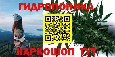 герыч Лесосибирск